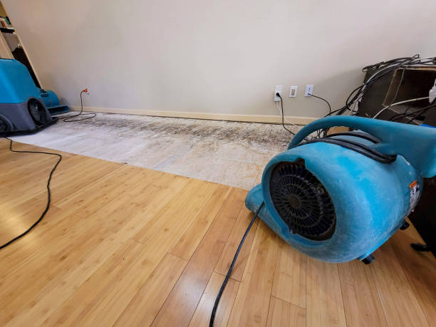 Professional Flood Damage Cleanup technician working in Wayne, IL
